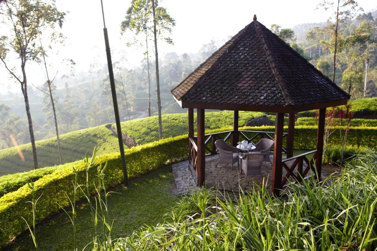 Ceylon Tea Trails - Relais And Chateaux Hatton Extérieur photo