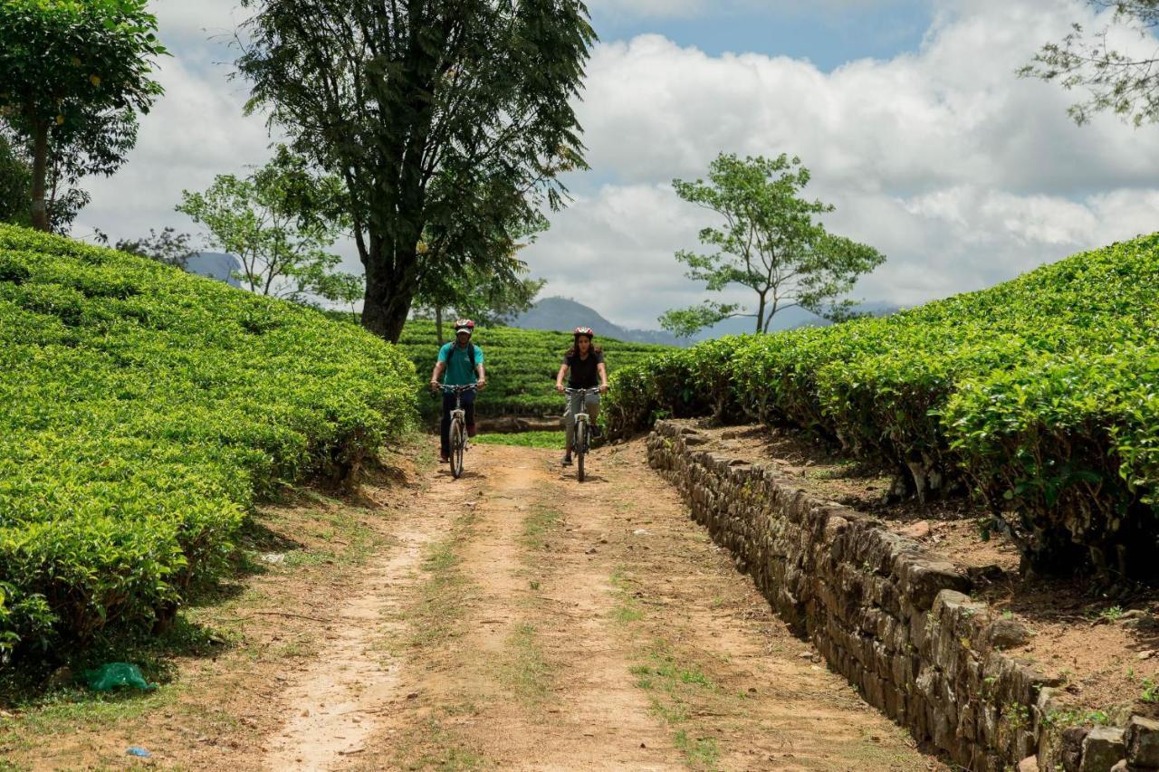 Ceylon Tea Trails - Relais And Chateaux Hatton Extérieur photo